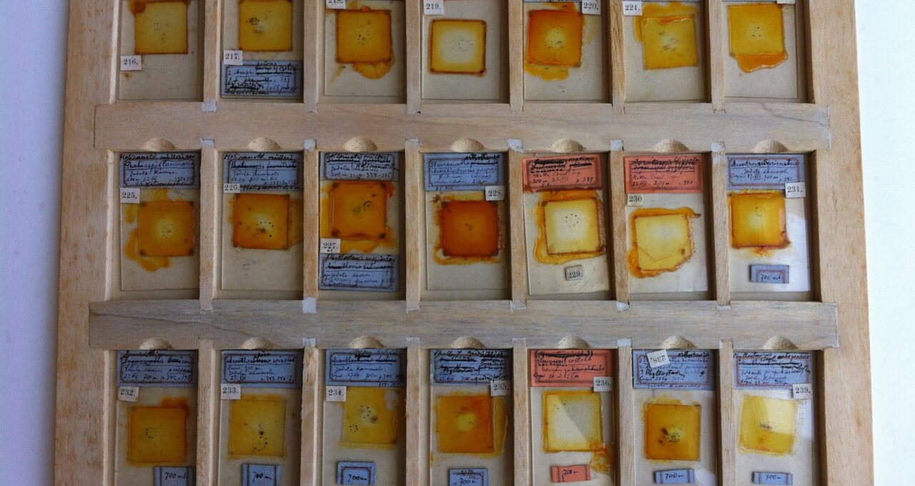 Wessely_Microslides