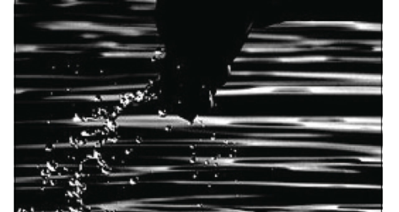 cover_the_corpse_washer