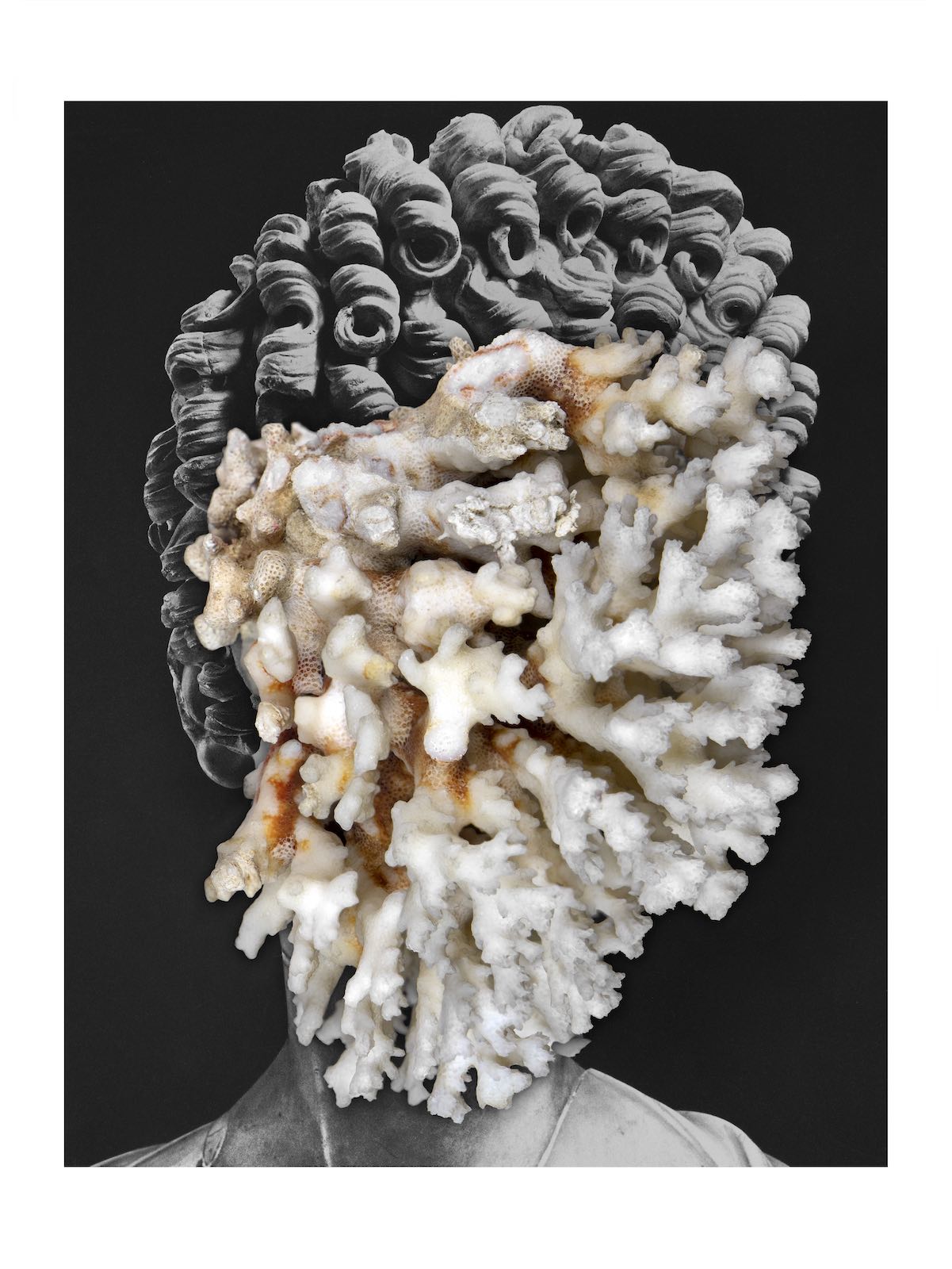 Tg-Staerken-lamas-nicolas_posthuman-portrait-coral-2021-Web