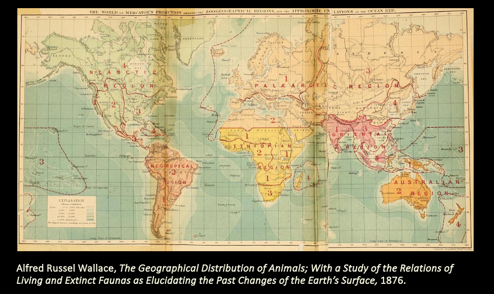 Alfred Russell Wallace, The Geographical Distribution of Animals