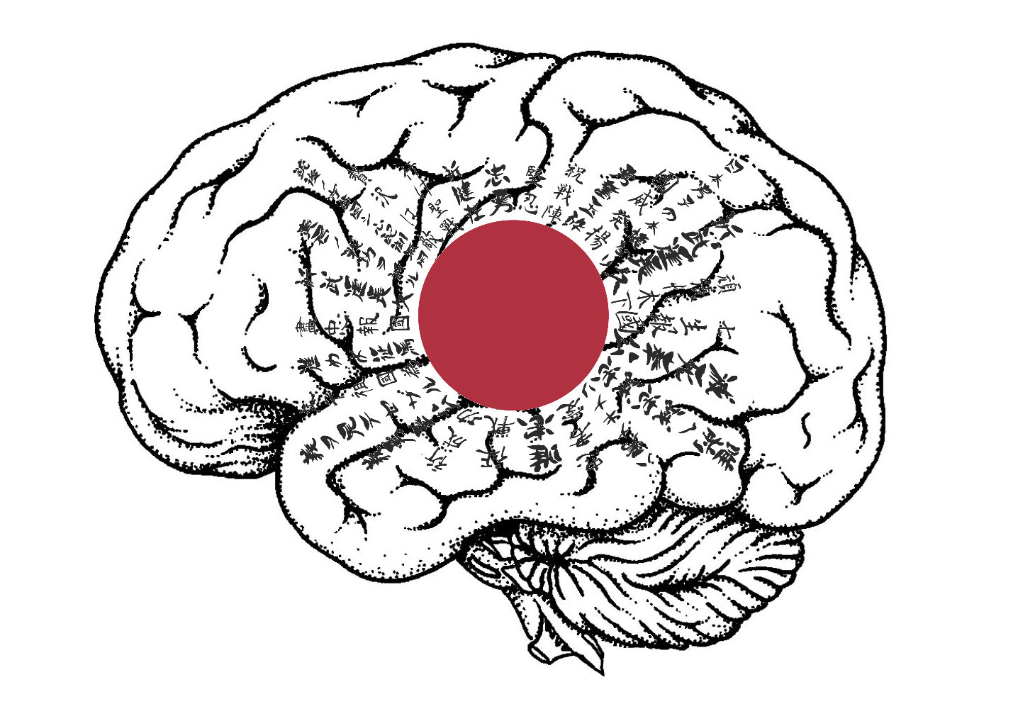 Gehirn mit Flagge des Japanischen Reiches zur Zeit des Zweiten Weltkrieges (Illustration von Bernhard Leitner)